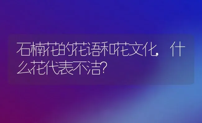 石楠花的花语和花文化,什么花代表不洁？ | 养殖常见问题