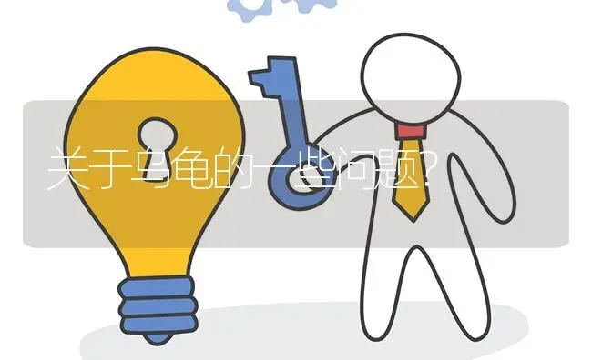 关于乌龟的一些问题? | 养殖问题解答
