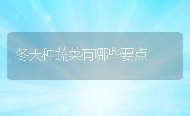 冬天种蔬菜有哪些要点 | 养殖常见问题