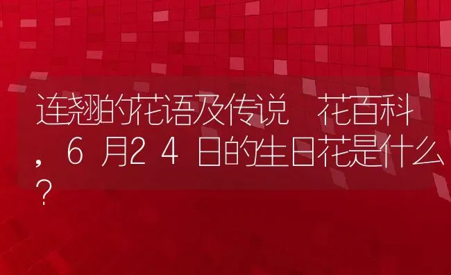 连翘的花语及传说–花百科,6月24日的生日花是什么？ | 养殖常见问题