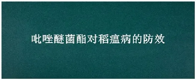 吡唑醚菌酯对稻瘟病的防效 | 三农问答