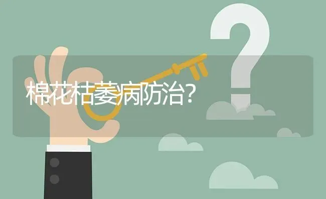 棉花枯萎病防治? | 养殖问题解答