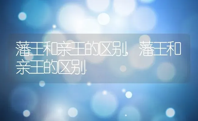 藩王和亲王的区别,藩王和亲王的区别 | 养殖常见问题