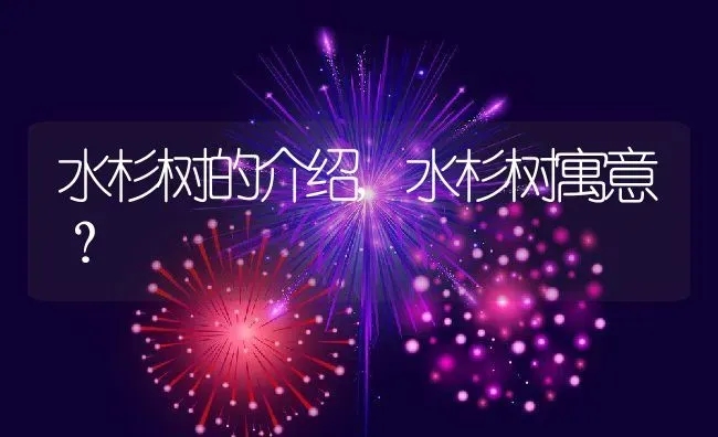 水杉树的介绍,水杉树寓意？ | 养殖常见问题