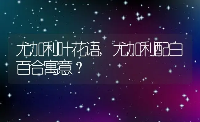 尤加利叶花语,尤加利配白百合寓意？ | 养殖常见问题