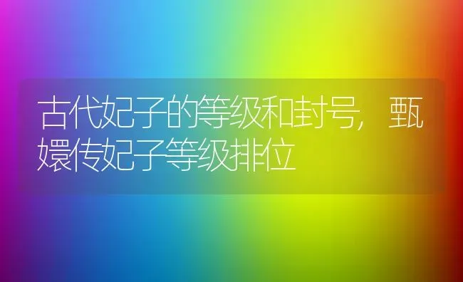 古代妃子的等级和封号,甄嬛传妃子等级排位 | 养殖常见问题