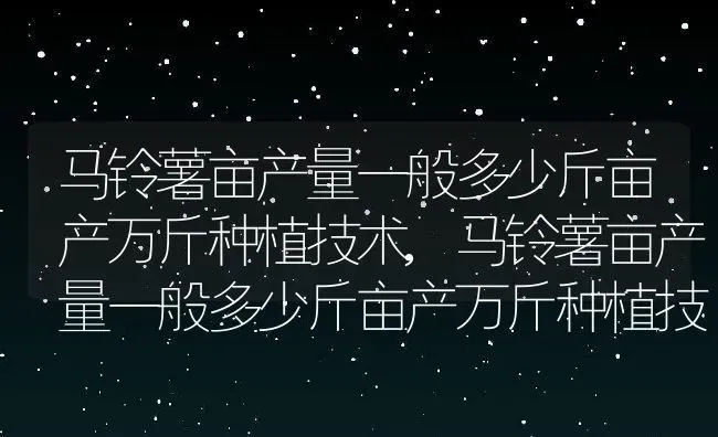 马铃薯亩产量一般多少斤亩产万斤种植技术,马铃薯亩产量一般多少斤亩产万斤种植技术 | 养殖常见问题