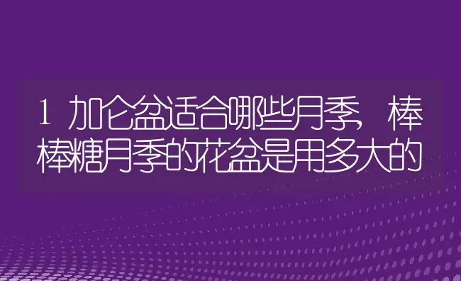 1加仑盆适合哪些月季,棒棒糖月季的花盆是用多大的 | 养殖常见问题