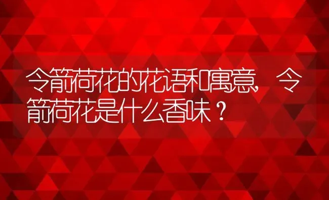 令箭荷花的花语和寓意,令箭荷花是什么香味？ | 养殖常见问题