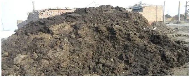 有机肥能养花吗 | 生活常识