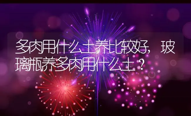 多肉用什么土养比较好,玻璃瓶养多肉用什么土？ | 养殖常见问题
