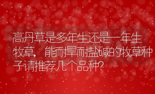 高丹草是多年生还是一年生牧草,能耐旱耐盐碱的牧草种子请推荐几个品种？ | 养殖常见问题