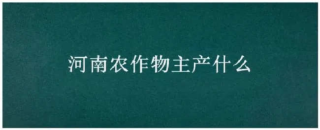河南农作物主产什么 | 三农答疑