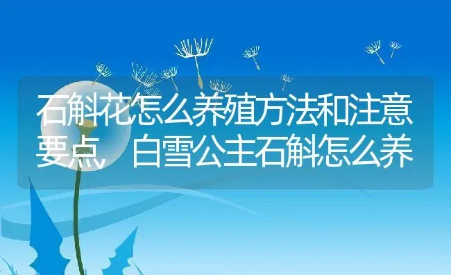 石斛花怎么养殖方法和注意要点,白雪公主石斛怎么养 | 养殖常见问题