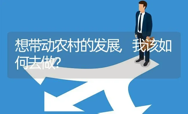 想带动农村的发展,我该如何去做? | 养殖问题解答