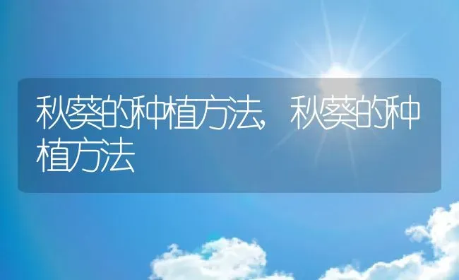 秋葵的种植方法,秋葵的种植方法 | 养殖常见问题