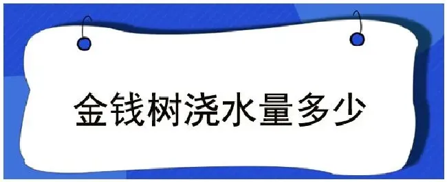 金钱树浇水量多少 | 生活常识