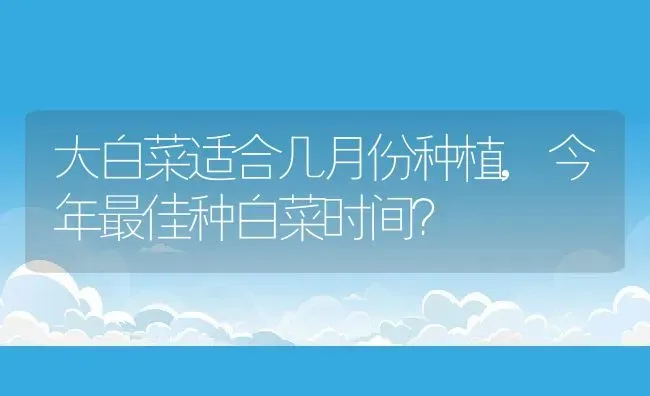 大白菜适合几月份种植,今年最佳种白菜时间？ | 养殖常见问题