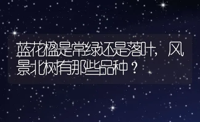 蓝花楹是常绿还是落叶,风景北树有那些品种？ | 养殖常见问题