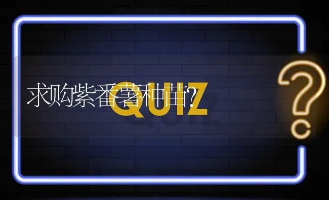 求购紫番薯种苗? | 养殖问题解答