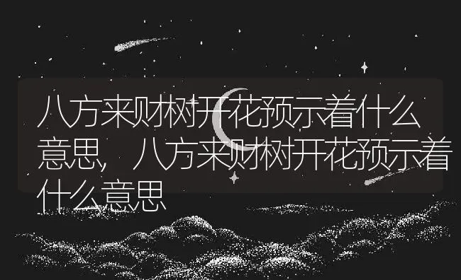 八方来财树开花预示着什么意思,八方来财树开花预示着什么意思 | 养殖常见问题