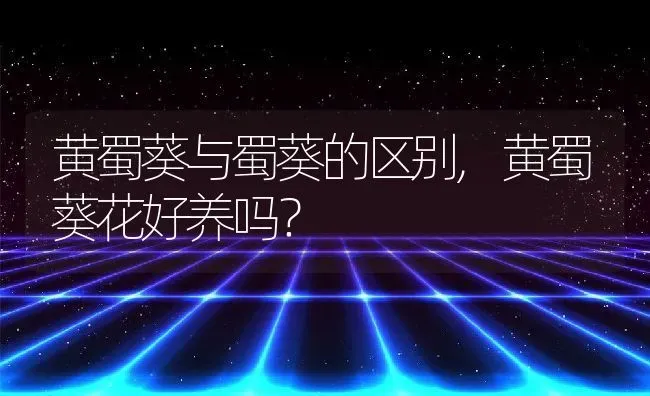 黄蜀葵与蜀葵的区别,黄蜀葵花好养吗？ | 养殖常见问题