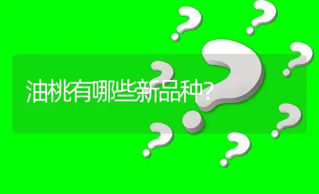 油桃有哪些新品种? | 养殖问题解答