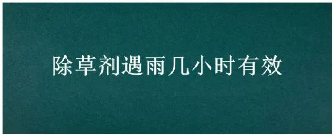 除草剂遇雨几小时有效 | 三农问答