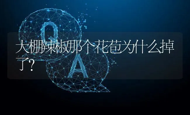 大棚辣椒那个花苞为什么掉了? | 养殖问题解答