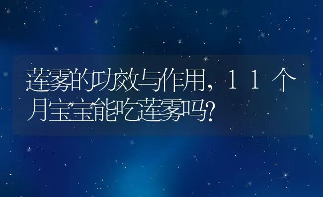莲雾的功效与作用,11个月宝宝能吃莲雾吗？ | 养殖常见问题