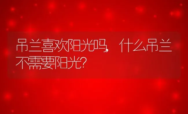 吊兰喜欢阳光吗,什么吊兰不需要阳光？ | 养殖常见问题