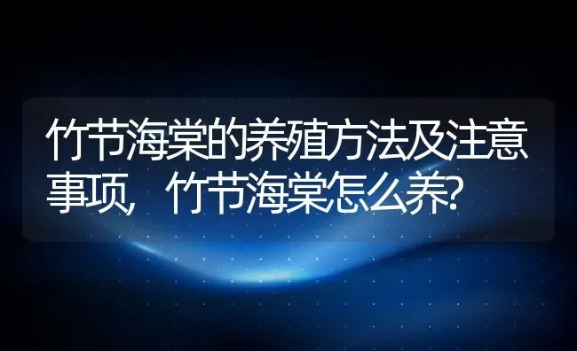 竹节海棠的养殖方法及注意事项,竹节海棠怎么养? | 养殖常见问题