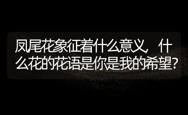 凤尾花象征着什么意义,什么花的花语是你是我的希望？ | 养殖常见问题