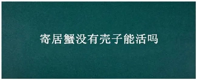 寄居蟹没有壳子能活吗 | 农业问题