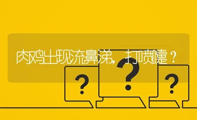 肉鸡出现流鼻涕,打喷嚏? | 养殖问题解答