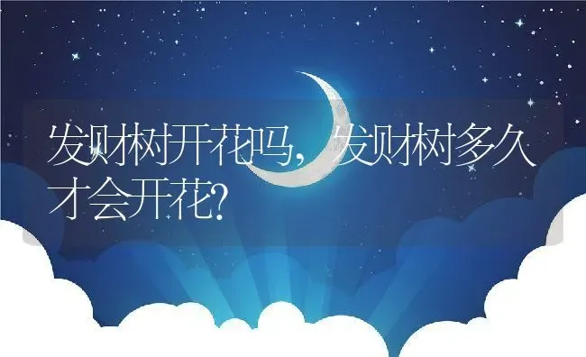 发财树开花吗,发财树多久才会开花？ | 养殖常见问题