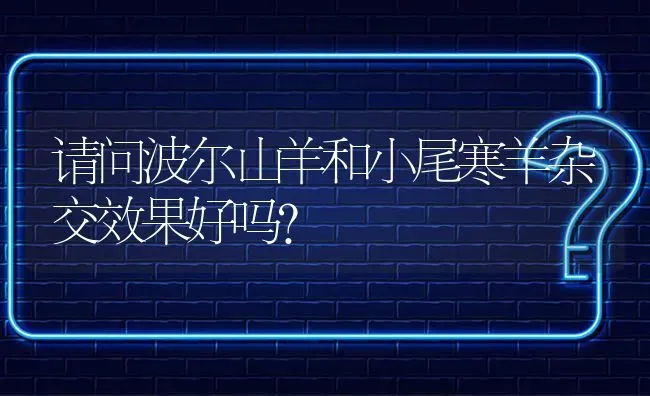 请问波尔山羊和小尾寒羊杂交效果好吗? | 养殖问题解答