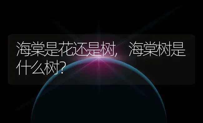 海棠是花还是树,海棠树是什么树？ | 养殖常见问题