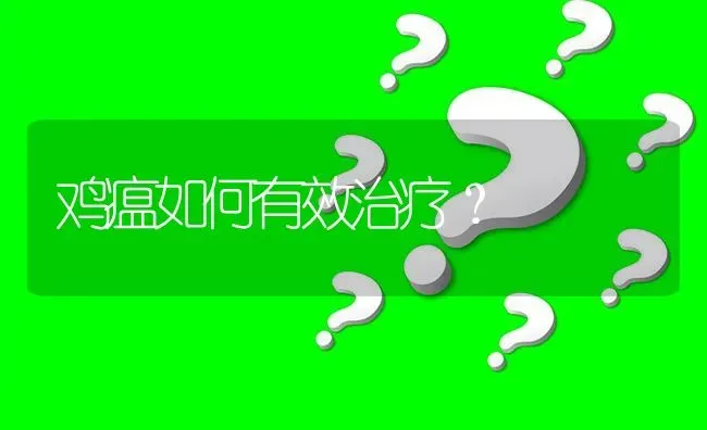 鸡瘟如何有效治疗? | 养殖问题解答