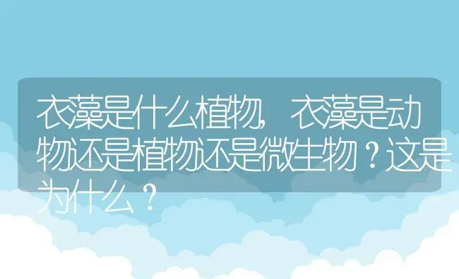 衣藻是什么植物,衣藻是动物还是植物还是微生物？这是为什么？ | 养殖常见问题