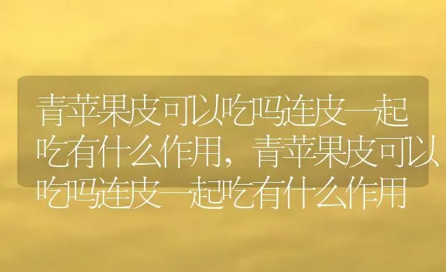 青苹果皮可以吃吗连皮一起吃有什么作用,青苹果皮可以吃吗连皮一起吃有什么作用 | 养殖常见问题