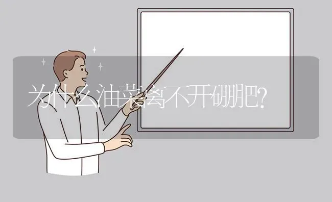 为什么油菜离不开硼肥? | 养殖问题解答