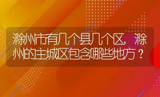 滁州市有几个县几个区,滁州的主城区包含哪些地方？ | 养殖常见问题