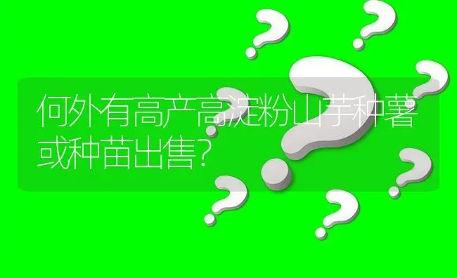 何外有高产高淀粉山芋种薯或种苗出售? | 养殖问题解答