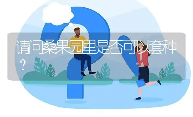 请问桑果园里是否可以套种? | 养殖问题解答