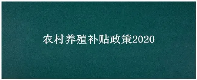 农村养殖补贴政策2020 | 生活常识