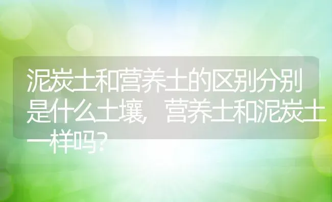 泥炭土和营养土的区别分别是什么土壤,营养土和泥炭土一样吗？ | 养殖常见问题