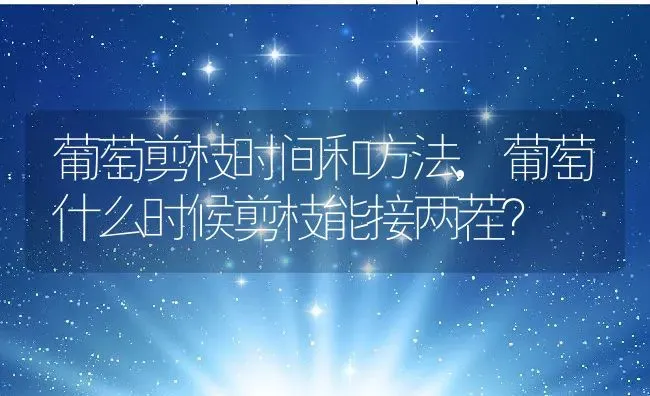 葡萄剪枝时间和方法,葡萄什么时候剪枝能接两茬？ | 养殖常见问题