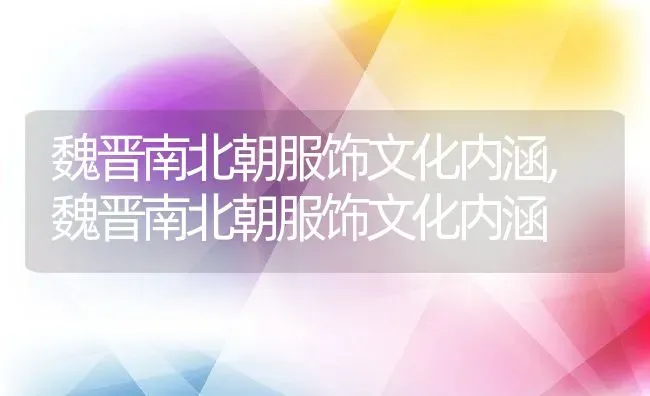 魏晋南北朝服饰文化内涵,魏晋南北朝服饰文化内涵 | 养殖常见问题