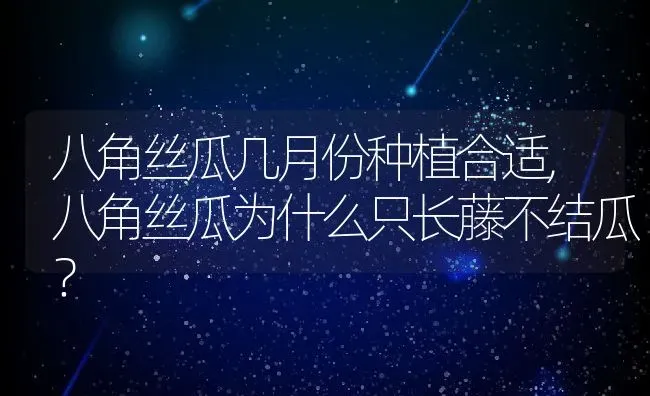 八角丝瓜几月份种植合适,八角丝瓜为什么只长藤不结瓜？ | 养殖常见问题